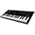 Tasteninstrumente