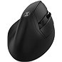 Eternico Wireless 2.4 GHz Vertical Mouse MV200 schwarz - Maus