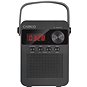 CARNEO F90 black/wood - Radio