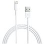 Apple Lightning zu USB Kabel 0,5 m - Datenkabel