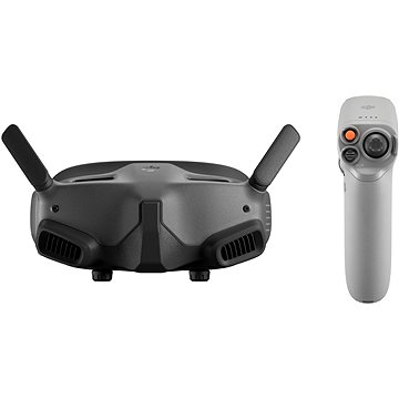 DJI Goggles 2 Motion Combo (DJI RC Motion 2)