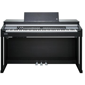 KURZWEIL CUP P1 SR