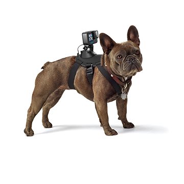 E-shop GoPro Hundegeschirr (Fetch)