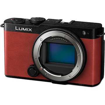 Panasonic Lumix DC-S9 Body rot