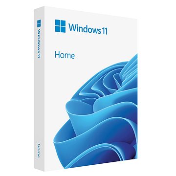 Microsoft Windows 11 Home - EN - USB (FPP)