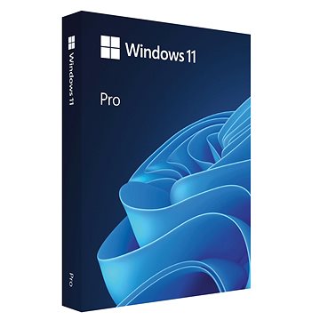 Microsoft Windows 11 PRO - EN - USB (FPP)