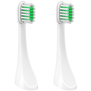 TrueLife SonicBrush T-Series Bürstenköpfe Standard - Weiß - 2 Stück Packung