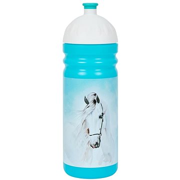 GESUNDE FLASCHE Flasche 0,7 L SCHIMMEL