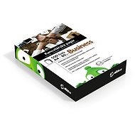 Alza Business A4 Papier - 80 g - Kanzleipapier