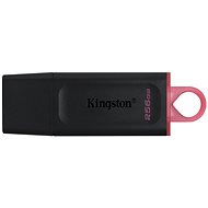 Kingston DataTraveler Exodia 256 GB - USB Stick