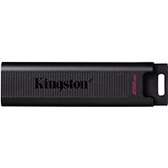 Kingston DataTraveler Max 256GB - USB Stick