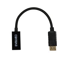 EVOLVEO DisplayPort - HDMI-Adapter - Adapter