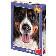 Haariger Hund 300 XL Puzzle Neu - Puzzle