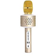 Teddies Karaoke-Mikrofon Bluetooth gold - Kindermikrofon