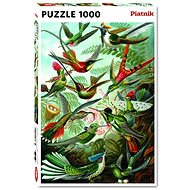 Haeckel - Kolibri - Puzzle