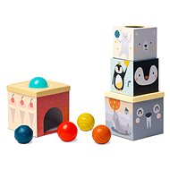 Bild-Bausteine Taf Toys - Nordpol Set mit Würfeln und Bällen - Obrázkové kostky