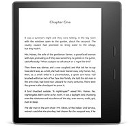 Amazon Kindle Oasis 3 32 GB - OHNE WERBUNG - eBook-Reader