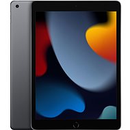 iPad 10.2 256GB WiFi Space Grau 2021 - Tablet