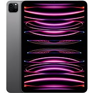 iPad Pro 11" 128 GB M2 Space Grau 2022 - Tablet