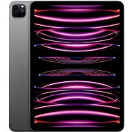 iPad Pro 11" 512 GB Cellular M2 Space Grau 2022 - Tablet