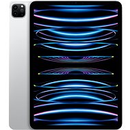 iPad Pro 11" 2 TB M2 Silber 2022 - Tablet