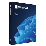 Microsoft Windows 11 PRO - EN - USB (FPP) - Betriebssystem