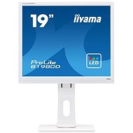 19" iiyama ProLite B1980D-W1 - LCD Monitor