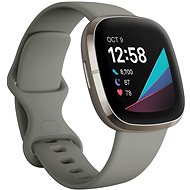 Fitbit Sense Salbeigrau / Silber Edelstahl - Smartwatch