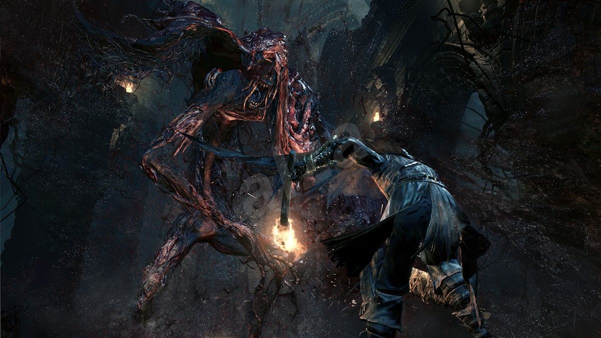 Сколько весит bloodborne goty на ps4