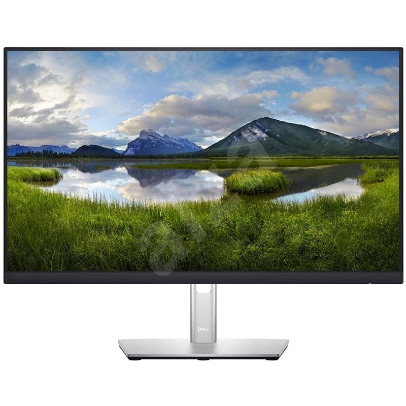 23,8" Dell P2422HE Professional - LCD Monitor