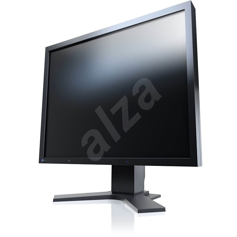 21" EIZO FlexScan S2133-BK - LCD Monitor