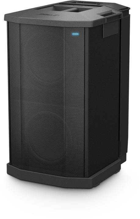 BOSE F1 Subwoofer
