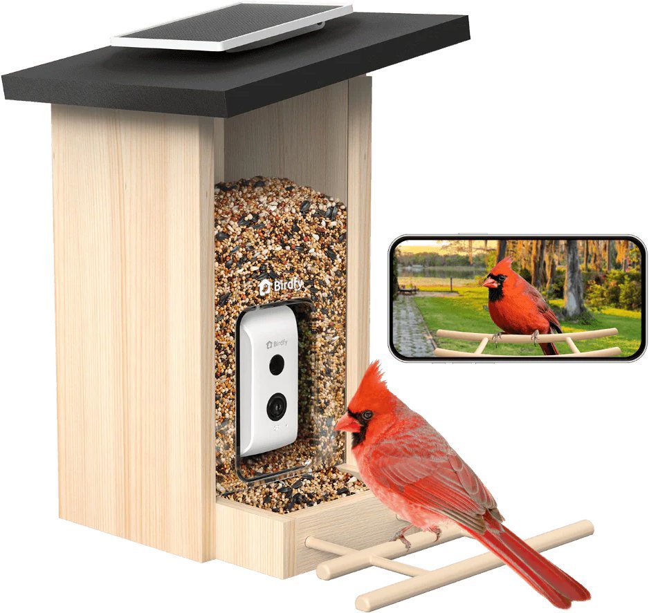 Birdfy Feeder Ebenholz (KI-Abo)