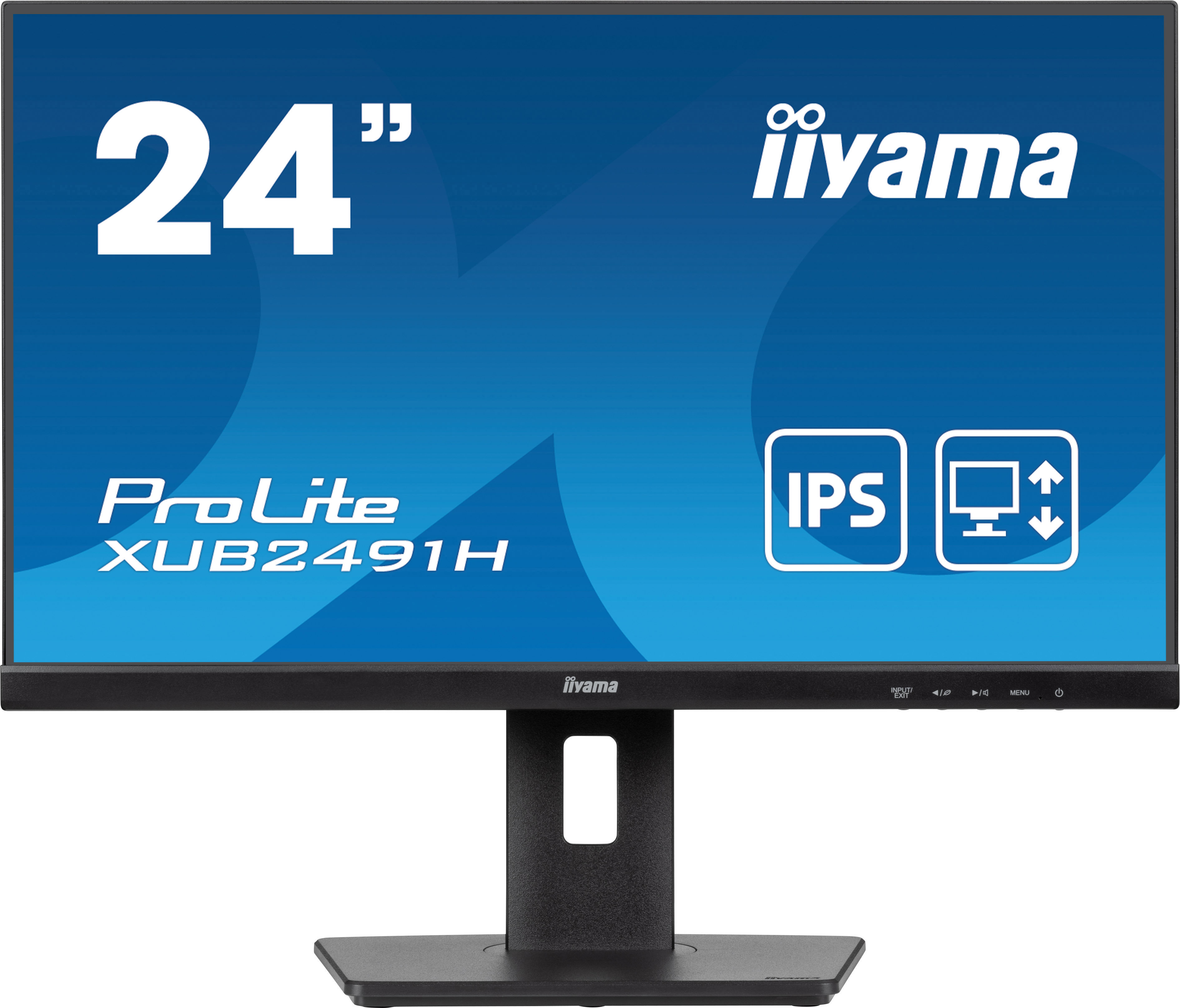 23,8" iiyama ProLite XUB2491H-B1